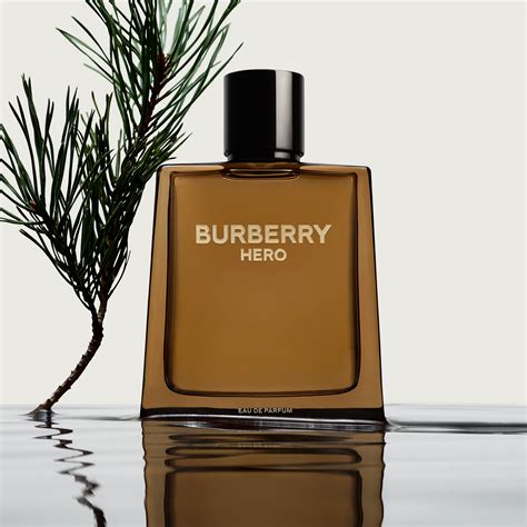 burberry eau for men